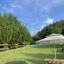 아트피아 골프클럽 | 대구파3골프장 수성구 아트피아골프클럽 후기