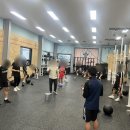 크로스핏 베어 이미지