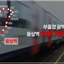 유승건기 네이버블로그