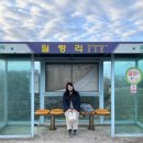 스테이세연