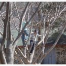 (오캠12th)국민청소년수련원