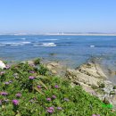 오비도스 이미지