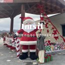 임실엔(N)치즈피자산본점 | 임실산타축제 크리스마스에 다녀온 치즈테마파크 주차 먹거리