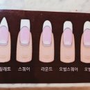 네일,더설렘 이미지