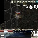 마우키 이미지