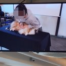 보정동물병원 이미지