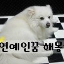 다꿈모아 이미지