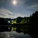 쉼터 낚시터 | 충북 음성군 주봉낚시터 방갈로 좌대 내돈내산 후기