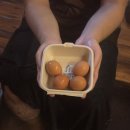 손이시려워 꽁 발이시려워 꽁