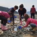 탑포어촌체험휴양마을 이미지