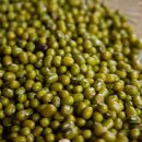 녹두 이미지
