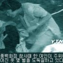 삼풍 이미지