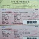 달라이커피 | “통영 학림도 차량선적 완벽가이드! 달아항 배시간·예약팁 총정리(승선권 인증)”