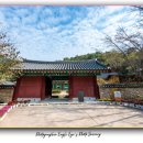 숲속향기생태어린이집 | 홍천 수타사 단풍 여행후기, 천년고찰과 생태숲이 빚어낸 꼭! 가볼 만한 곳 가을 절경! (입장료/주차정보)