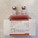 파마트삼보약국 | 고양이백신 고양이종합백신 펠리샷PHC 입고되었네요/시흥은계지구동물약국/파마트삼보약국