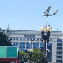 안양시청 앞 이미지