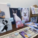 항상봄처럼 스튜디오 이미지