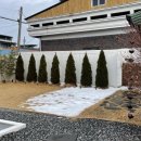 스테이로이 이미지