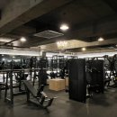 피트니스 청춘 네이버블로그