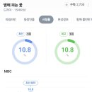 이하늬 주연 MBC 금토 드라마 밤에 피는 꽃 시청률 추이.jpg 이미지