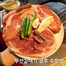 [광주 광산] 수완지구 | 부산갈매기 | 가성비 수완지구 고깃집 솔직후기