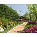 사기막골(1) 이미지