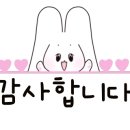 마리살롱 이미지