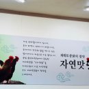 자연맛닭