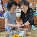 화사한 농작물 방울토마토 이미지