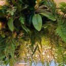 경동정형외과의원 이미지