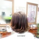 사브라헤어