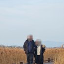 1107윤소정 효 실천 이미지