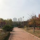 엘에스엠트론(주)