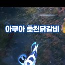 아쿠아춘천닭갈비 이미지