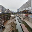 숙이네식당 이미지