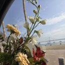 아마노 | 부산 파인다이닝 광안리근처 기념일에 가기 좋은 아마노 런치 후기