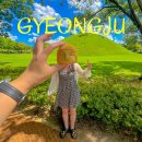 월성초등학교 | 경주 여행 실패 없이 가고 싶다면 가볼만한곳 추천