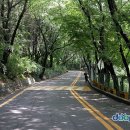 남산 산책로 이미지