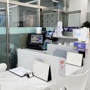 베리 핏 피티 이미지