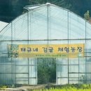 태규농장 이미지