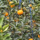 태수농장2 이미지