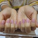 네일열두달