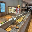 pet38라6637 | 차원이 달라~city of lucky~~✨ 광주광역시