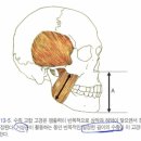 밸런스치과병원 이미지