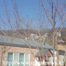 화수목경로당 이미지