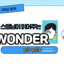 Wonder 이미지