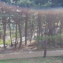 오패산 유아숲체험원 이미지