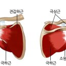 김한의원 이미지
