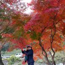 힐링산행과 문화탐방 이미지