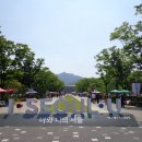 경기도 과천시 서울대공원 장미원과 산림욕장 도보일지. 이미지